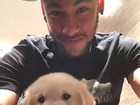 Fofura! Neymar posta foto de novo cachorrinho de estimação