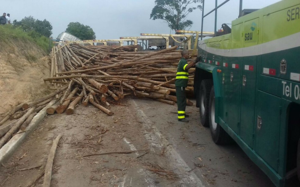 Carregamento de eucalipto ficou na pista (Foto: Divulgação/Polícia Rodoviária Federal)