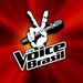 Regulamento The Voice Brasil 2013