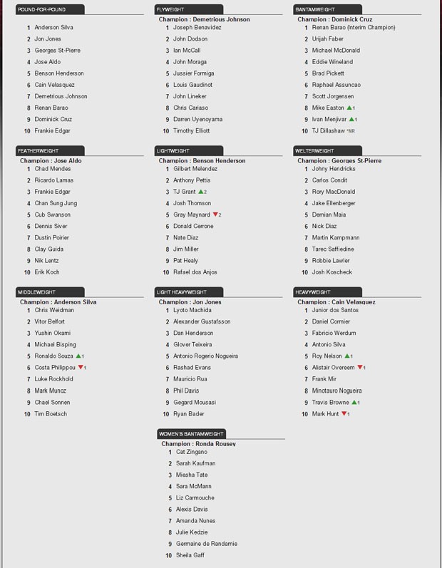 ranking UFC - 28/05/2013 (Foto: Divulgação)