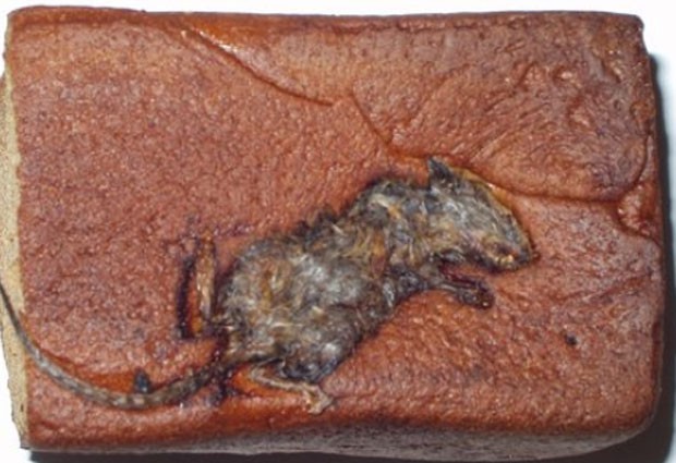 Em 2009, uma empresa na Irlanda do Norte foi multada em 1 mil libras após um cliente encontrar um rato dentro de um pão (Foto: Reprodução)