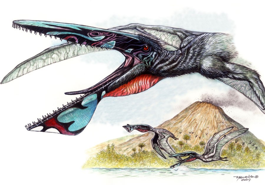 Ilustração que mostra o Ikrandraco avatar, pterossauro que teria vivido há 120 milhões de anos (Foto: Divulgação/Maurílio Oliveira/Museu Nacional/UFRJ)