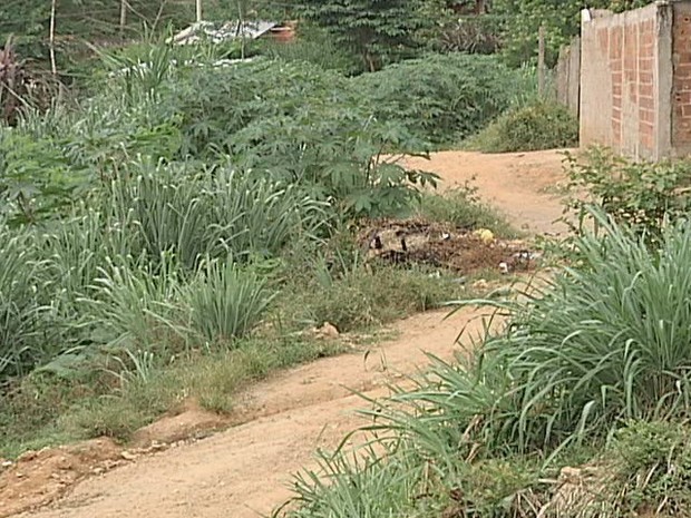 G1 Moradores Do Bairro Macuco Reclamam De Mato Alto E Mau Cheiro Notícias Em Vales De Minas