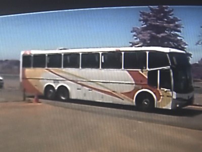 Torcedores do Corinthians pagam prejuízo causado em loja no Paraná