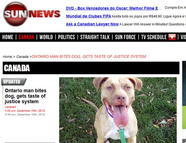 Canadense foi condenado por morder cadela de estimação (Foto: Reprodução)