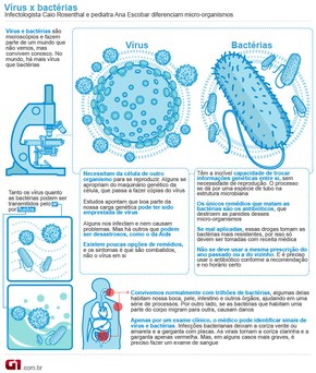 hpv virus or bacteria)