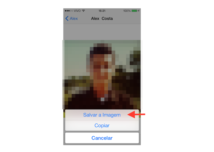 Baixando a foto de perfil de um contato no WhatsApp para iOS (Foto: Reprodução/Marvin Costa)