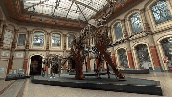Animais pré-históricos e dinossauros podem ser visto em realidade aumentada (Foto: Divulgação/Google) Animais pré-históricos e dinossauros podem ser visto em realidade aumentada (Foto: Divulgação/Google)