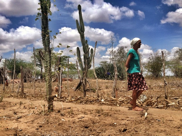 Maria do Carmo acredita que região vive o 'milênio da seca' (Foto: Henrique Mendes / G1)