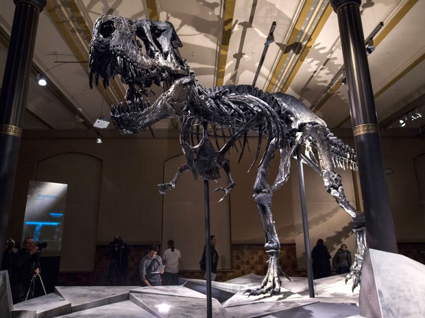 Esqueleto original e quase completo de um Tyrannosaurus Rex, exposto no Museu de História Natural de Berlim, em foto de 16 de dezembro de 2015 (Foto: AFP Photo/John Macdougall)