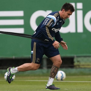 Recuperado, Mouche vive expectativa de voltar ao Verdão: 