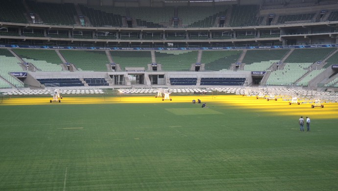 Alvo de críticas, gramado do Palmeiras passa por manutenção intensiva