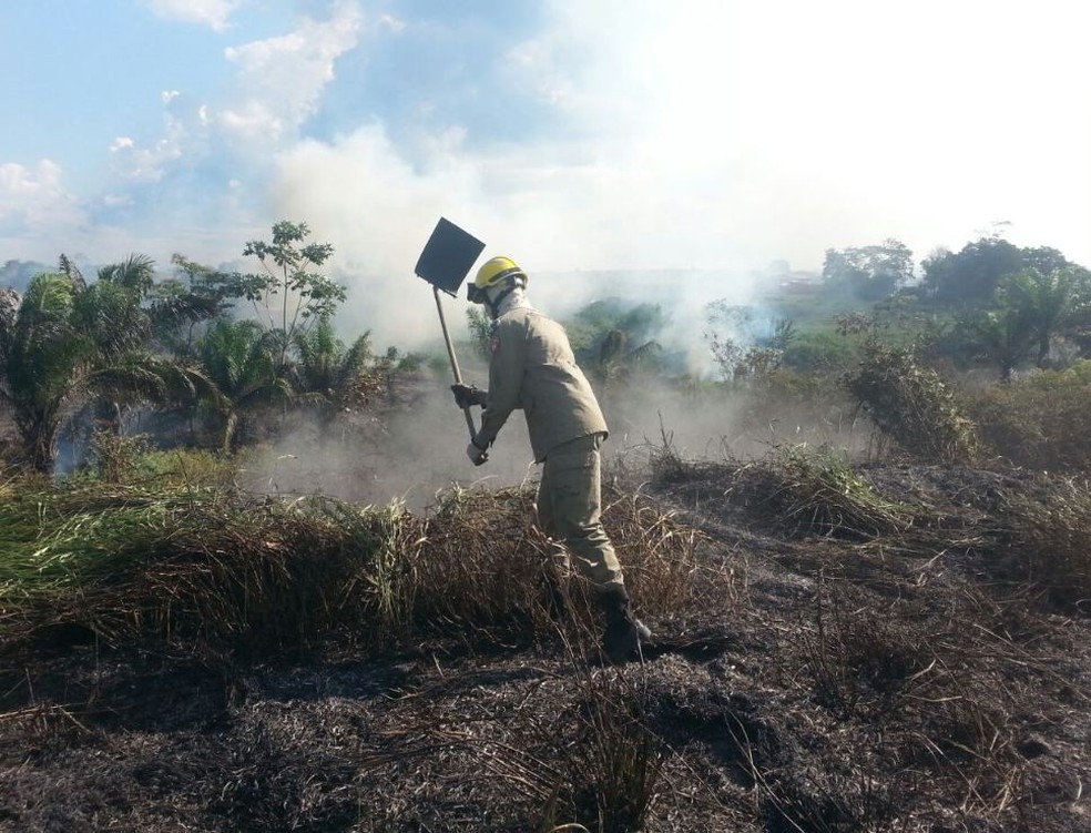 Bombeiros tentam controlar fogo que antigiu área verde no bairro Eldorado  (Foto: Reprodução/Rede Amazônica Acre )