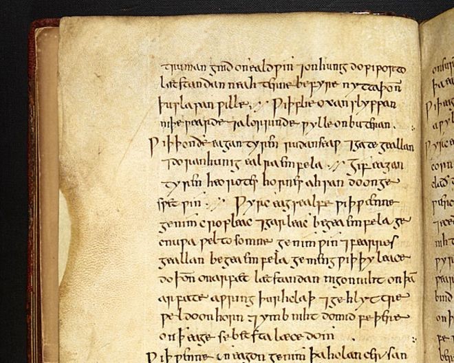 Cientistas tentaram reproduzir com mxima exatido a receita do manuscrito do sculo 10 (Foto: Biblioteca Britnica/  The British Library Board (Royal 12 D xvii))