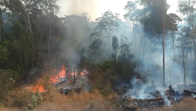 queimada-amazonia (Foto: Reprodução/Ed. Globo)
