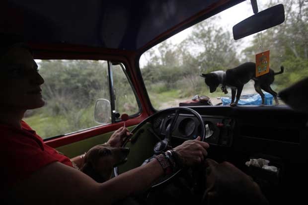 Mariam Luzcan, um advogado de ces, dirige um carro como vrios cachorros na Cidade do Mxico (Foto: Edgard Garrido/ Reuters)