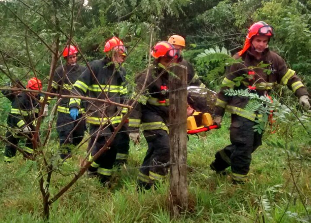 Motorista foi socorrido pelo Corpo de Bombeiros (Foto: Corpo de Bombeiros/Cedida)