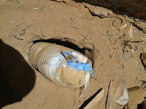 PM encontra maconha enterrada no quintal de uma casa em Buíque, Pernambuco (Foto: Divulgação/ Polícia Militar)