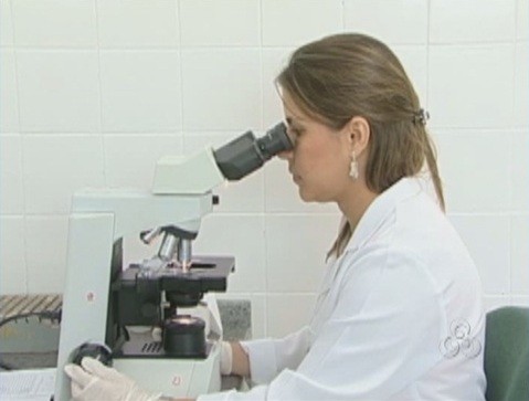 Mostras de sangue são analisadas para diagnóstico da dengue (Foto: Amazônia TV)