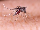 EUA identificam nova área de transmissão local de zika em Miami