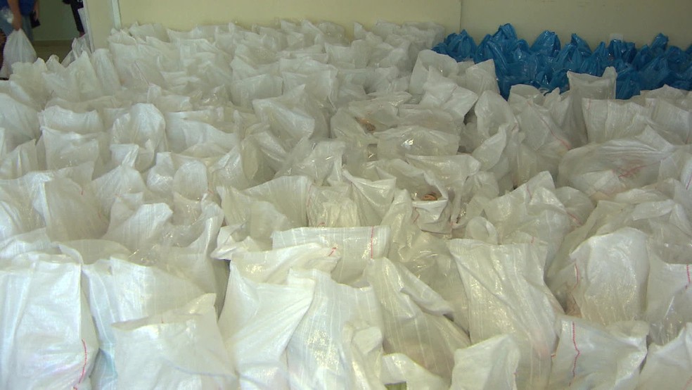 Foram 550 cestas básicas distribuídas  (Foto: Reprodução/ TV Globo)