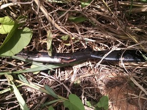 Espingarda que teria sido usada pelos acusados para matar Vanderlei Sousa, em Paragominas, PA. (Foto: Divulgação/Polícia Civil do Pará)