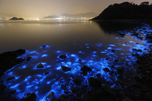  Brilho fosforescente azul  provocado por organismo unicelular chamado Noctiluca scintillans (Foto:  AP Photo/Kin Cheung)
