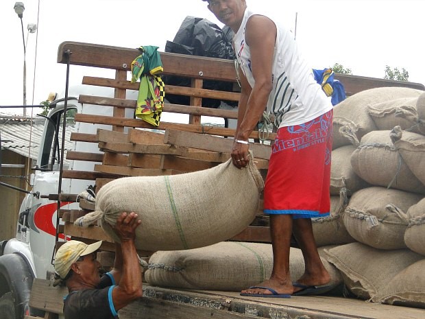 Indígenas estão formando estoque de 416,6 toneladas de guaraná em grãos (Foto: Divulgação)