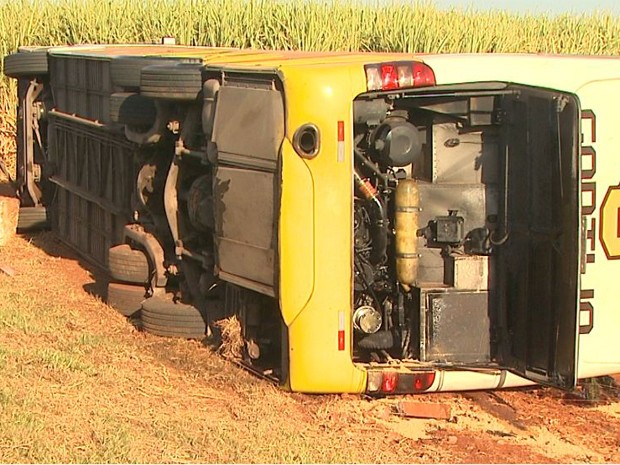 Ônibus tomba após motorista perder controle em rodovia de Jardinópolis (Foto: Reprodução EPTV)