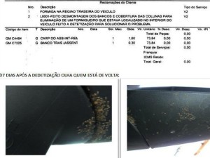 Publicitária encontra formigueiro em carro recém-comprado em Fortaleza (Foto: Janine Vasconcelos/Arquivo pessoal)