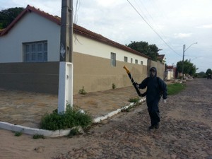 Borrifação próximo aos bairros com casos suspeitos (Foto: Divulgação/Prefeitura de Parnaíba)
