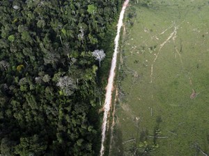 Faixa de floresta tropical devastada próximo ao Parque Nacional da Amazônia (Foto: Nacho Doce/Reuters)