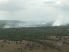 Incêndio destrói parte de reserva florestal na Grande Belém