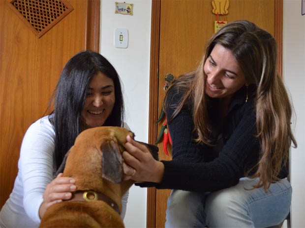 A veterinariá Bianca Shimizu, 35 anos, e a empresária Michelle de Paula, 38 anos, planejam futuro de "Bela" na fazenda de Jardinópolis, SP (Foto: Adriano Oliveira/G1)