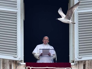 Gaivota voa próxima à janela do Papa Francisco durante oração do Ângelus, na Praça de São Pedro, no Vaticano, neste domingo (11) (Foto: Giuseppe Cacace/AFP)