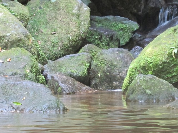 Cachoeira do Horto é concorrida em dias de calor (Foto: Gabriel Barreira/G1)