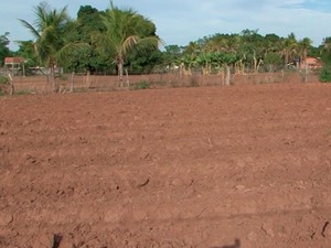 Seca na zona rural de Barreiras, Bahia (Foto: Reprodução/ TV Oeste)