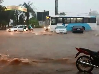 G1 Chuva forte alaga ruas arrasta carros e derruba árvores em