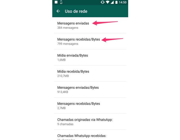 Veja o número de mensagens recebidas e enviadas no WhatsApp (Foto: Reprodução/Lucas Mendes)