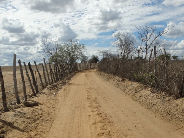 Estradas rurais de Surubim retratam situação da seca no Agreste pernambucano (Foto: Joalline Nascimento/G1)