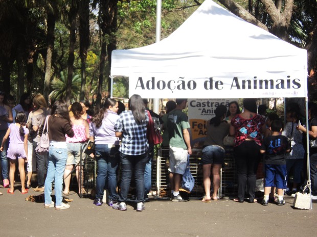 Clima Agora Em Araraquara