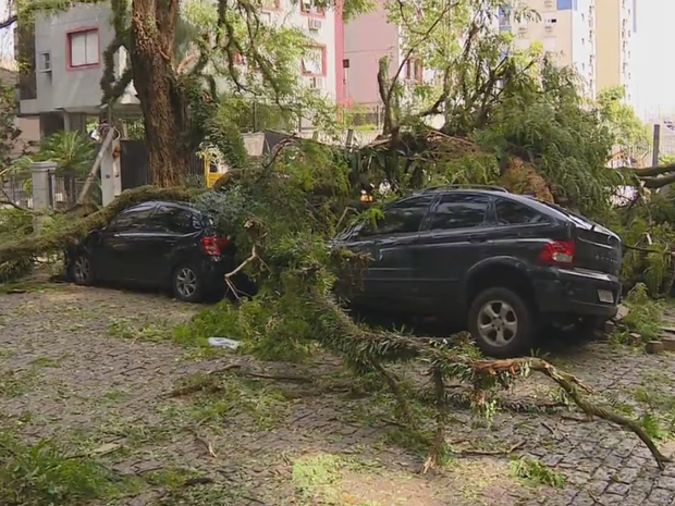 Árvores da rua Gonçalo de Carvalho foram derrubadas pela força do cento em Porto Alegre  (Foto: Reprodução / RBS TV)