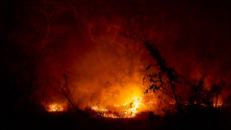Fogo no Pantanal (Foto: José Medeiros/Globo Rural)