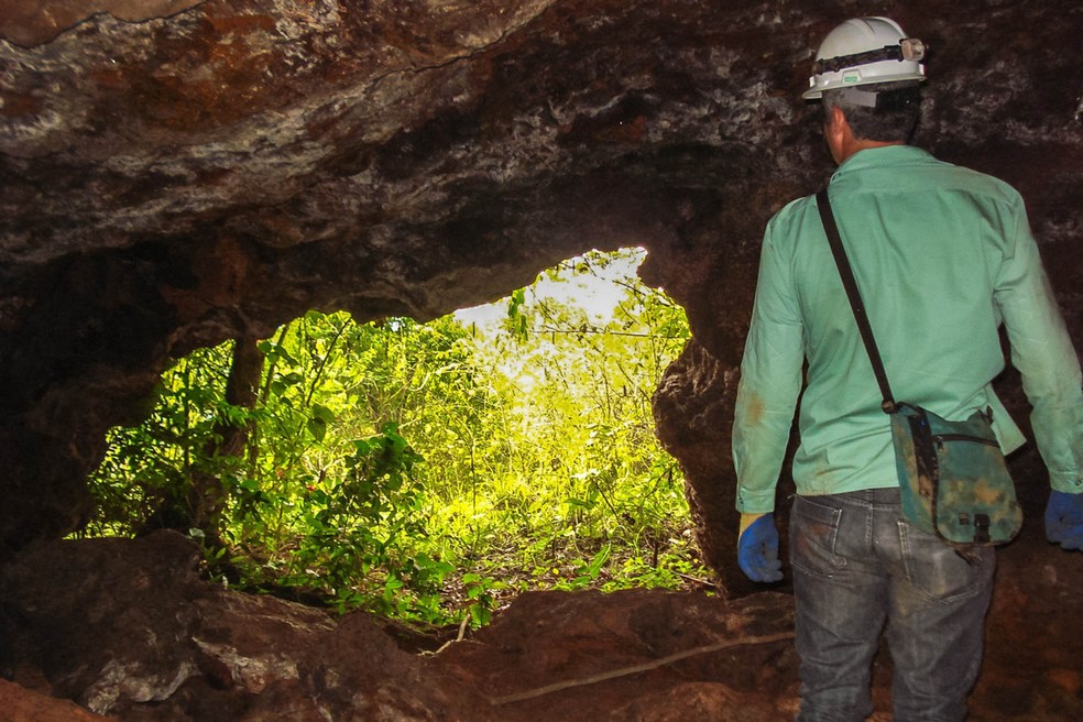 Parque Nacional dos Campos Ferruginosos, no sudeste do Pará, também guarda registros arqueológicos das primeiras ocupações humanas na Amazônia. (Foto: Ascom Ibama)