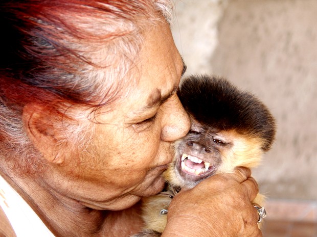 Macaco-prego foi criado por família de São Carlos durante 37 anos (Foto: Fabio Rodrigues/G1)