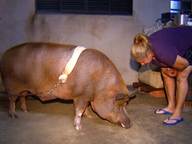 Dona Iraci cuida de Baby há mais de um ano e meio, desde que ele tinha 28 dias (Foto: Reprodução/EPTV)