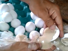 Ovos 'recheados' são encontrados em presídio do Tocantins; veja vídeo