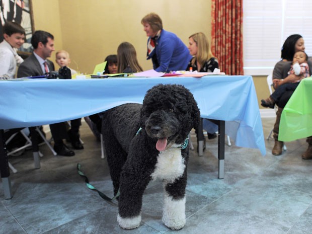 O cão da família Obama ficou a vontade entre os convidados (Foto: Jewel Samad/AFP)