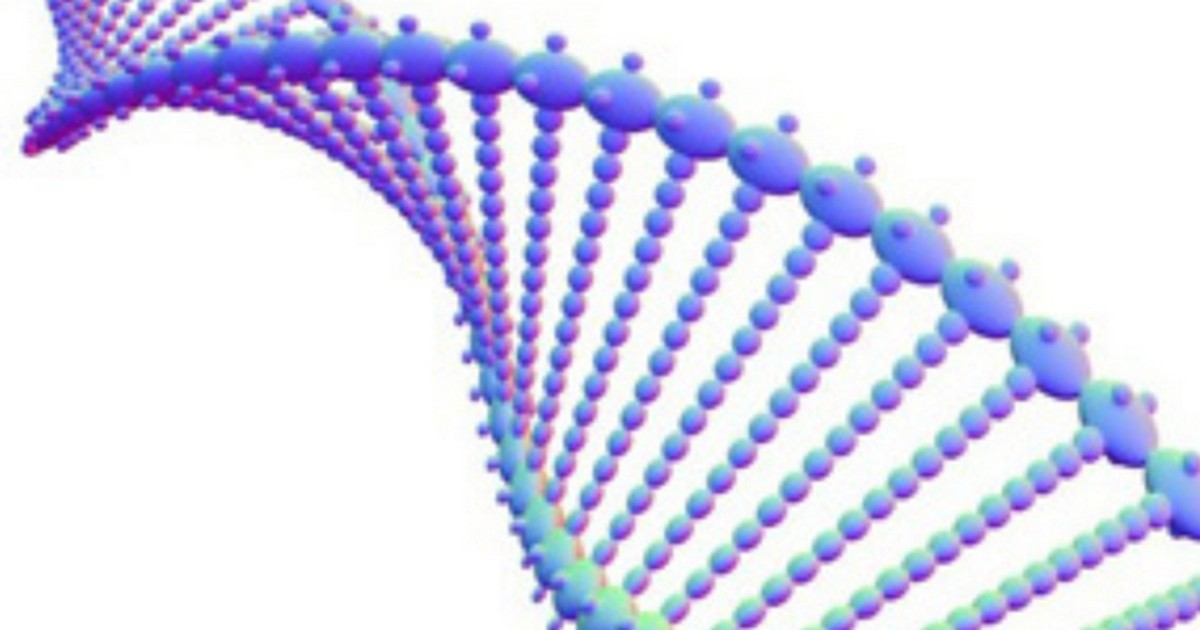 Mistério de genes do desenvolvimento ativados após a morte intriga cientistas