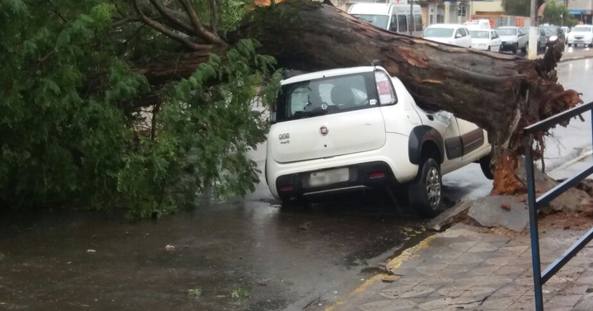 G Ventania Derruba Rvore Sobre Carro Estacionado Em Itapetininga